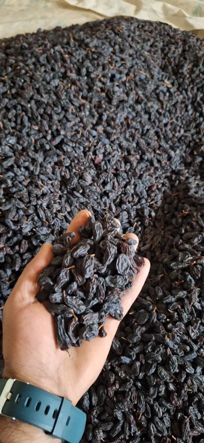 کشمش و مویز درجه ۱|خوردنی و آشامیدنی|شیراز, گلستان|دیوار