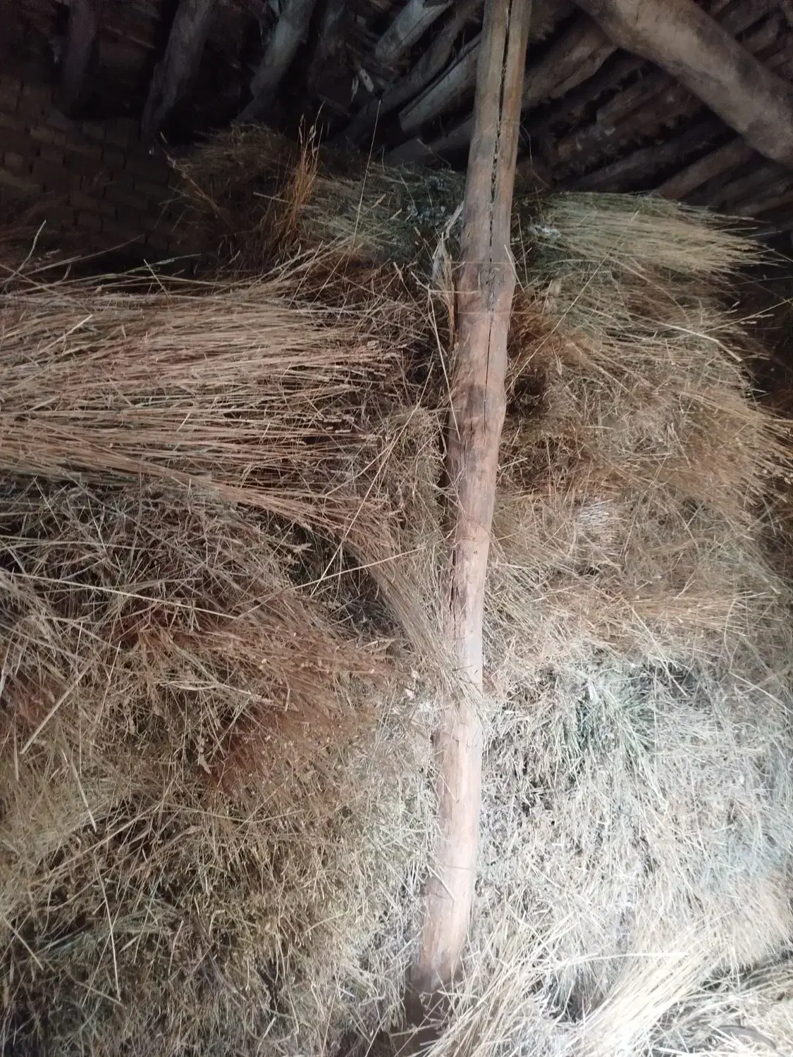 علف خشک|لوازم جانبی حیوانات|ایجرود, |دیوار