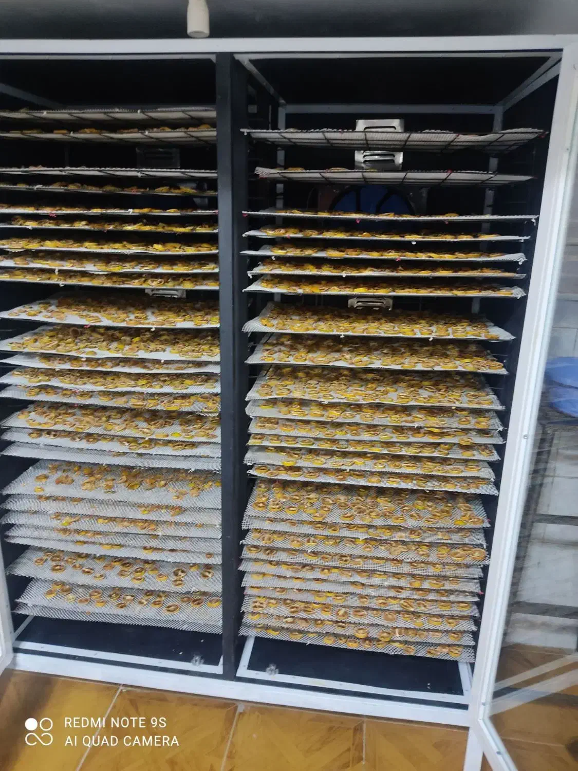 دستگاه میوه خشک کن|سایر لوازم برقی|سنندج, |دیوار