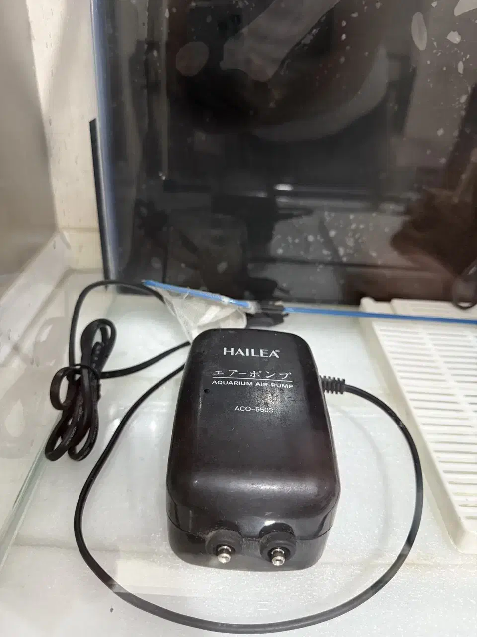 آکواریوم شیشه خم با تمام تجهیزات|ماهی|کردکوی, |دیوار