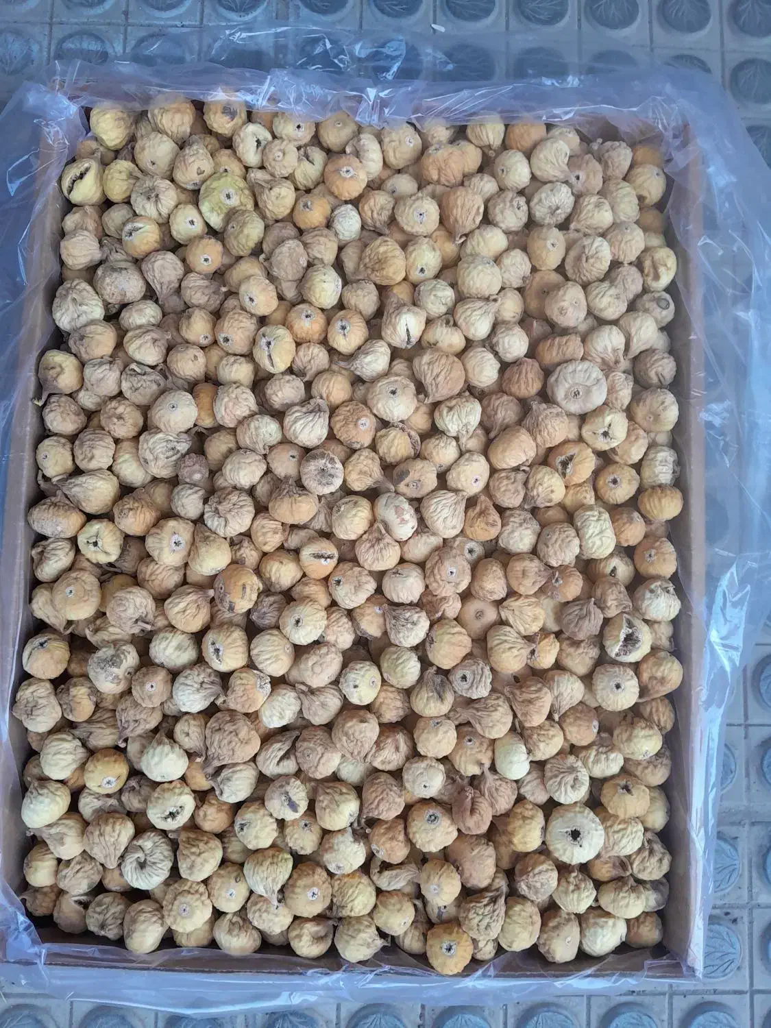 انجیر شیراز|خوردنی و آشامیدنی|مشهد, گلبرگ|دیوار