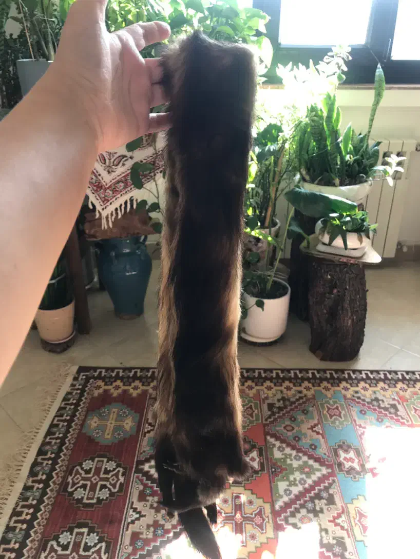 شال تزیینی|لباس|تهران, مینی‌سیتی (شهرک نفت)|دیوار