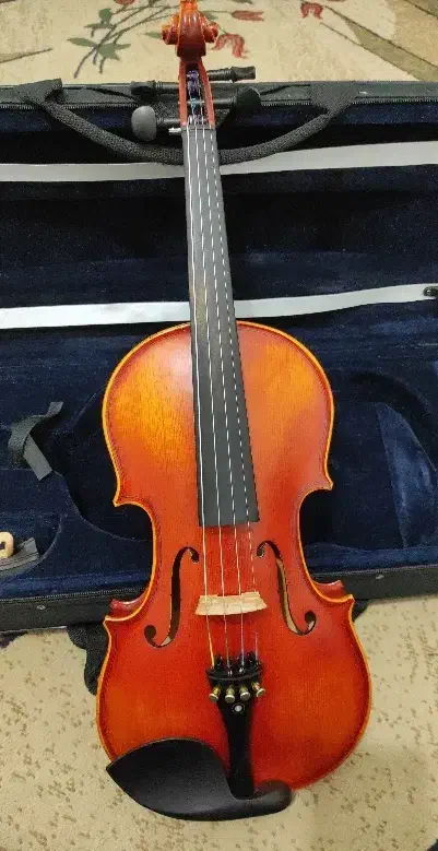 ویولن ویولون ویالون ویالن ویلن 4/4|ویولن|صدرا-فارس, فاز ۲|دیوار