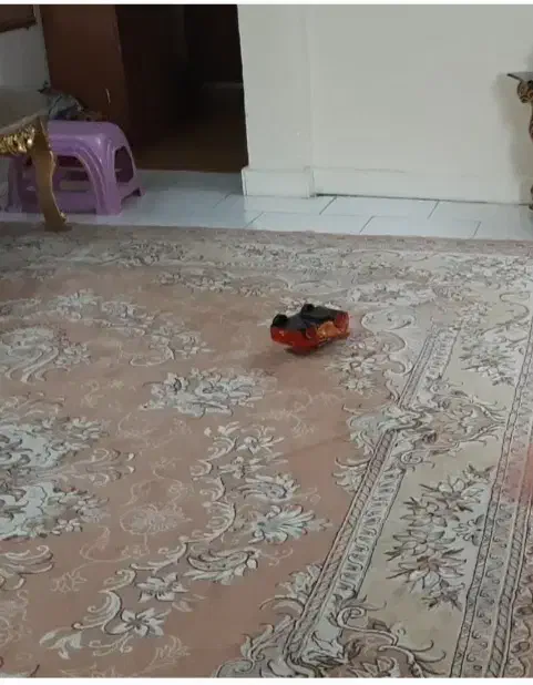 فرش|فرش|تهران, مینای جنوبی|دیوار