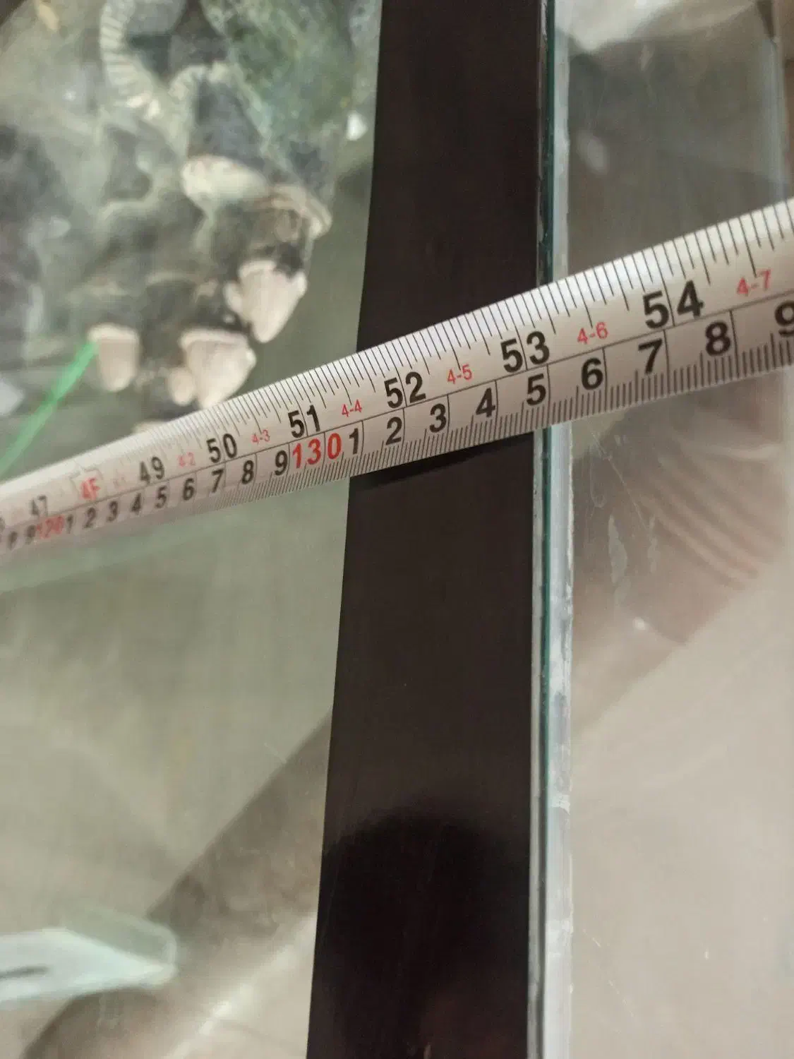 اکواریوم|ماهی|تربت جام, شهرک معلم|دیوار