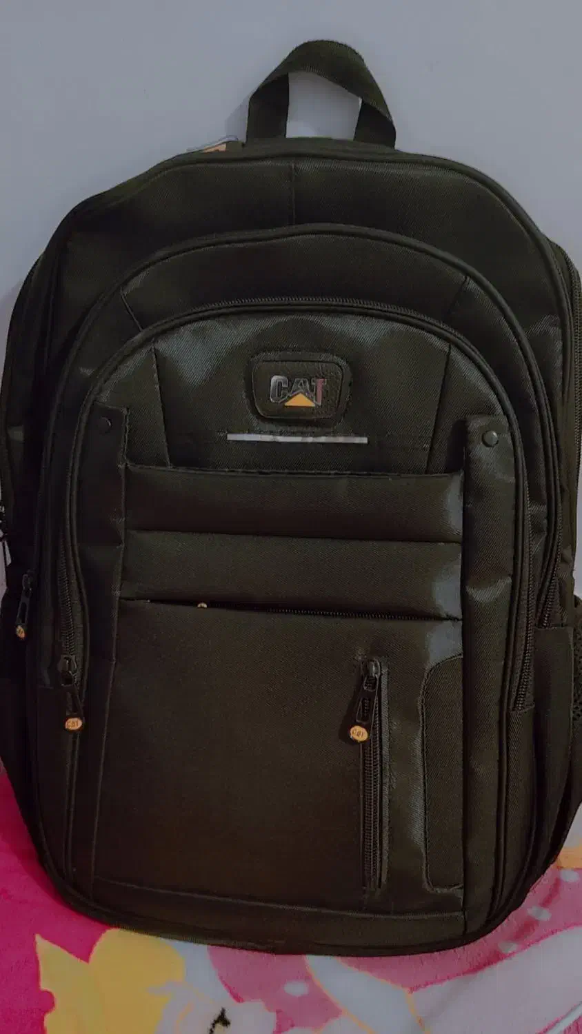 کیف مدرسه|کیف، کفش، کمربند|گلبهار, شهر جدید گلبهار|دیوار