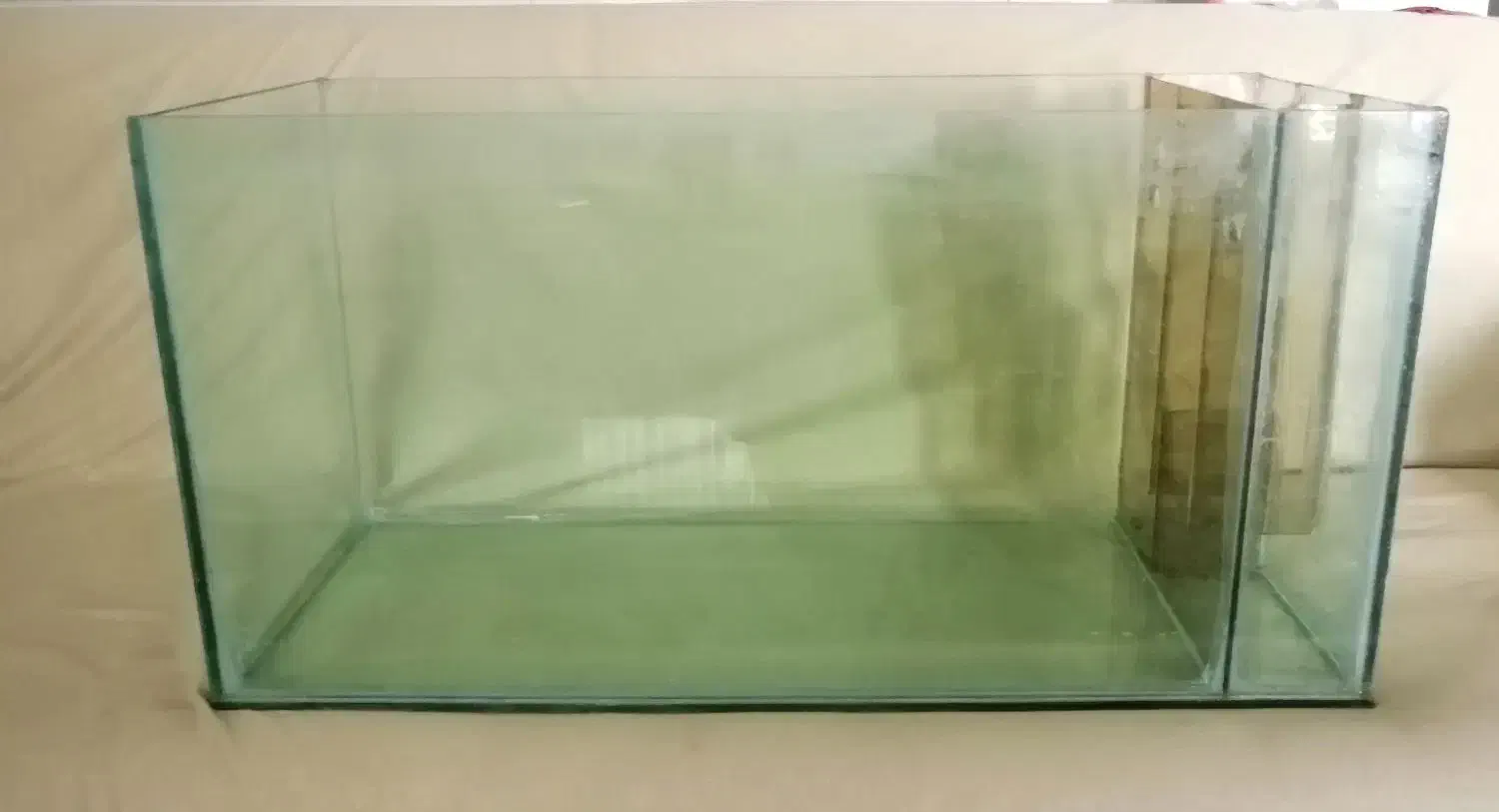 آکواریوم|ماهی|فردوس (خراسان), |دیوار