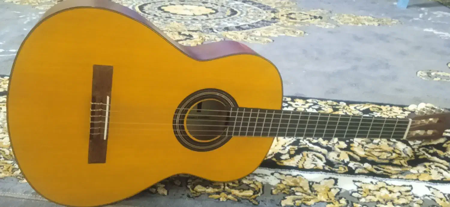 گیتار اموزشی|گیتار، بیس، امپلیفایر|یزد, |دیوار