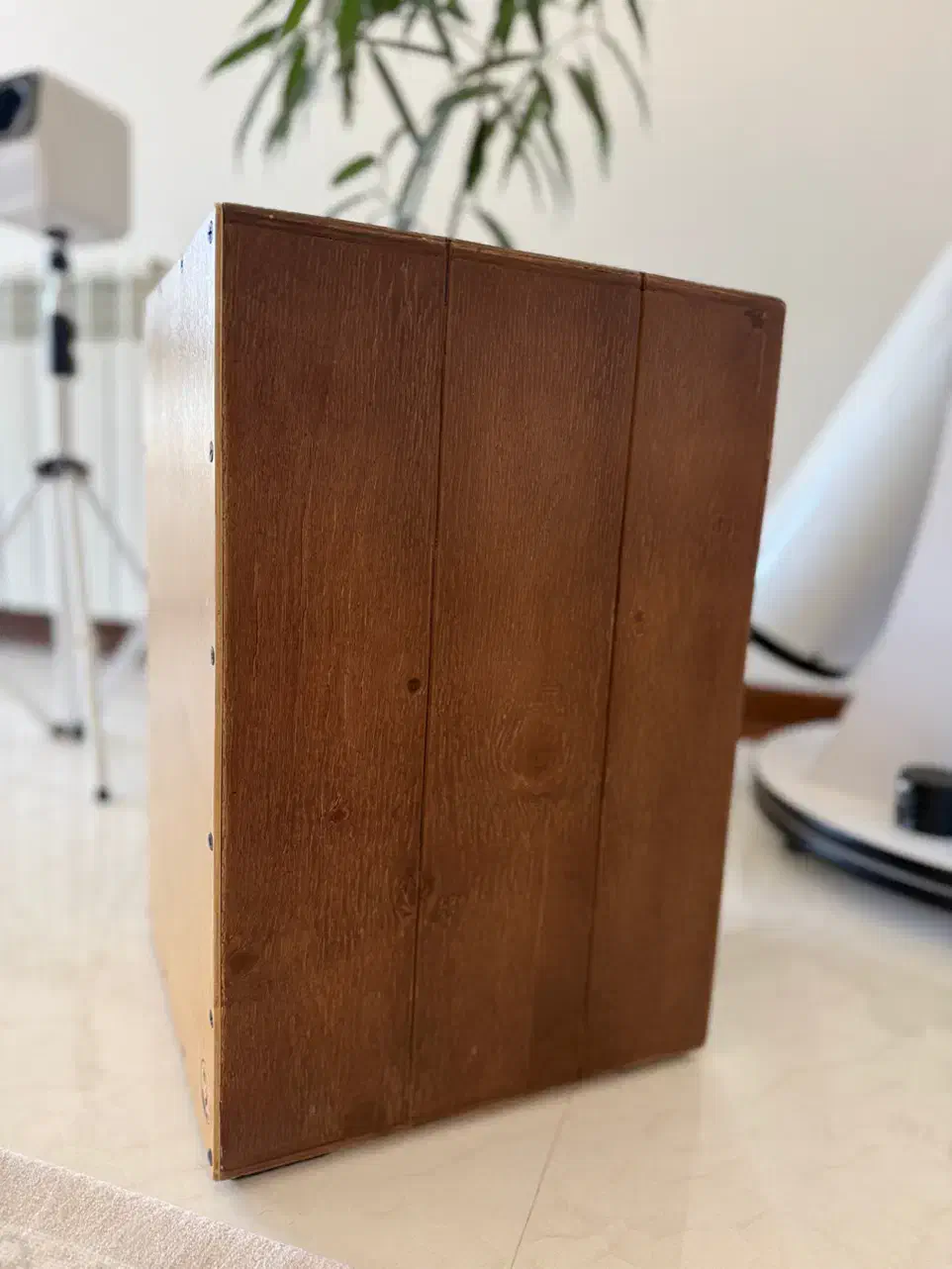 کاخون|درام و پرکاشن|کرمان, |دیوار