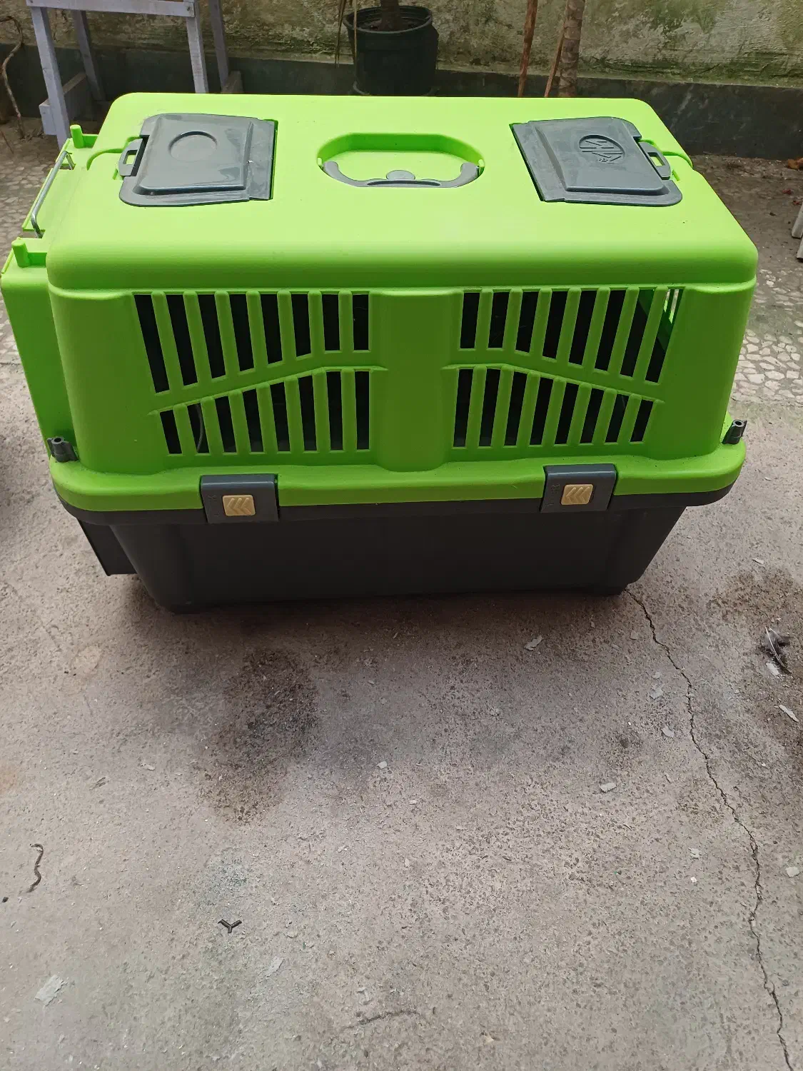 باکس سگ شیتزو . اشپیتز|لوازم جانبی حیوانات|لنگرود, |دیوار