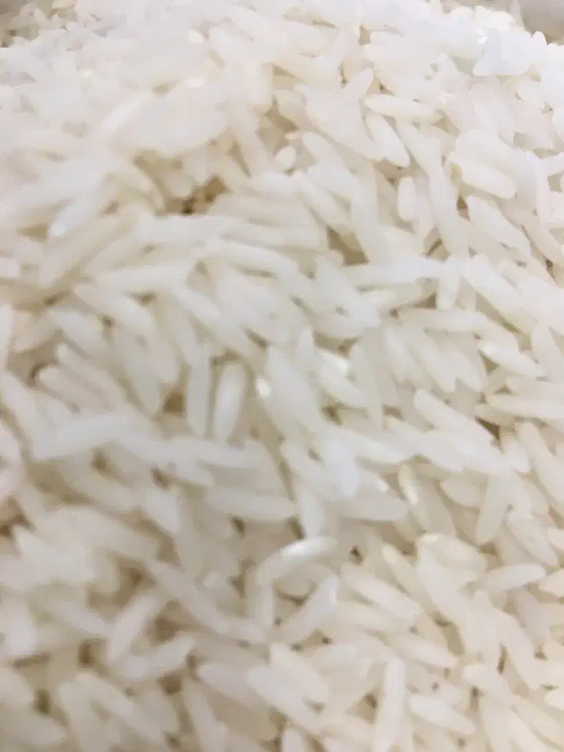 سان بینج برنج صد در صد ایرانی|خوردنی و آشامیدنی|مشهد, رضاشهر|دیوار