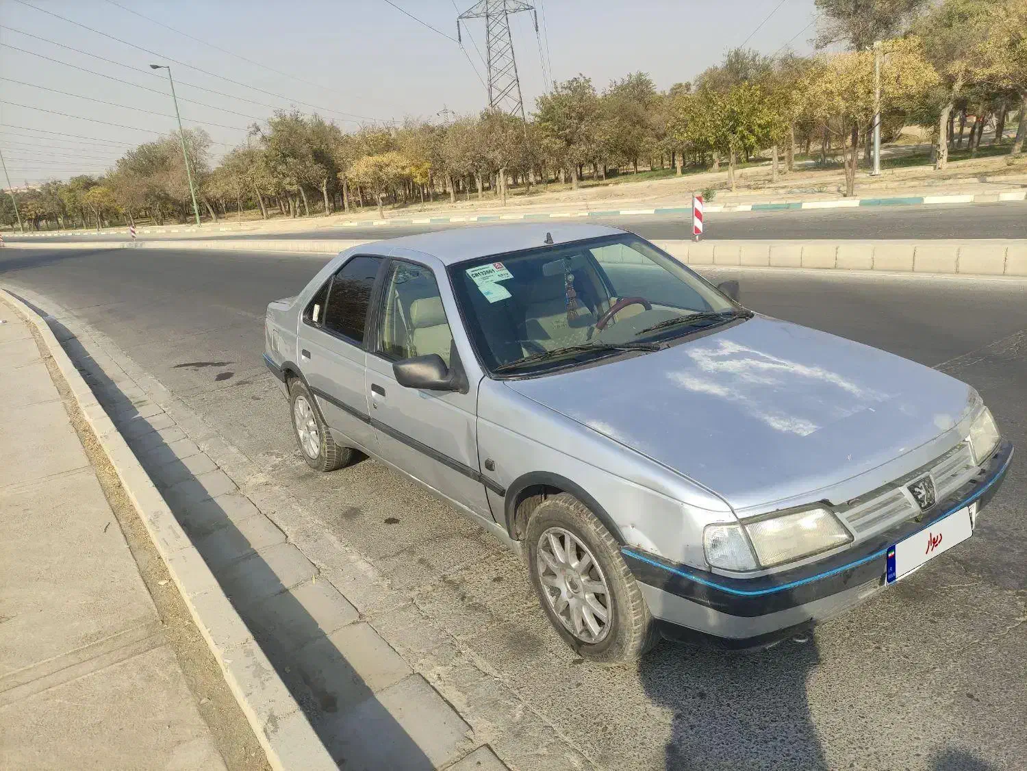 پژو 405 مدل 89 دوگانه شرکتی cng|خودرو سواری و وانت|ری, فیروزآبادی|دیوار