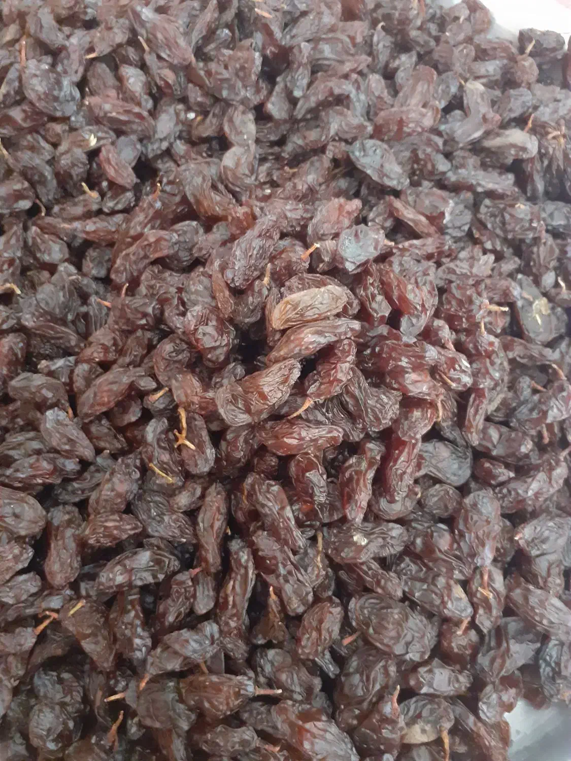 مویز درجه یک|خوردنی و آشامیدنی|شیراز, شهرک گلستان|دیوار