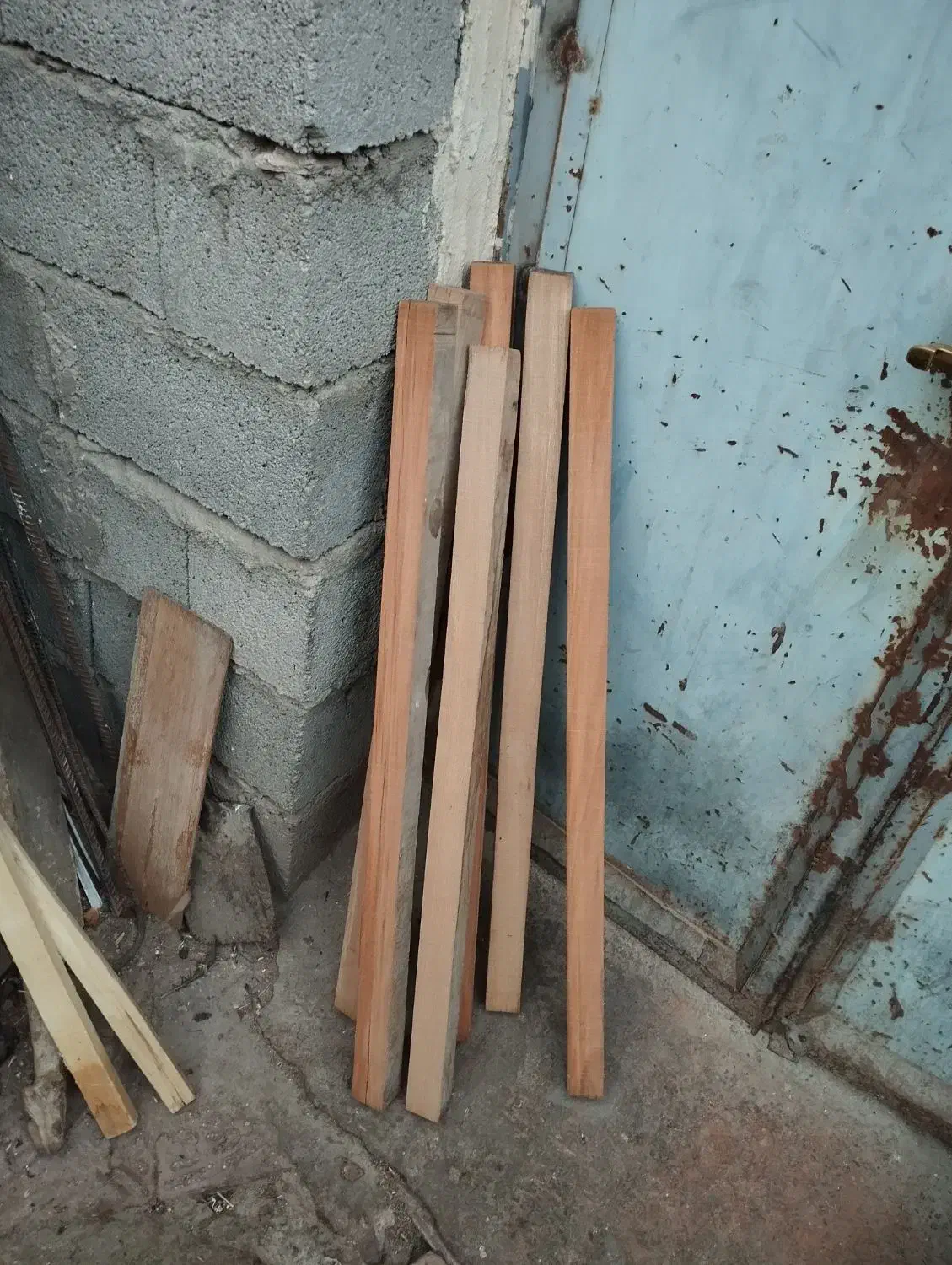 چوب راش ترکیه برای قفس سازی|لوازم جانبی حیوانات|بناب, |دیوار