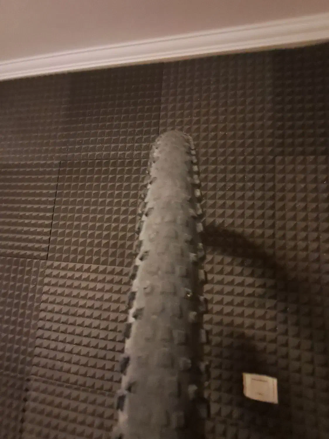 لاستیک دوچرخه ۲۹ مکسس تیوپلس|دوچرخه، اسکیت، اسکوتر|شیراز, فرهنگ شهر|دیوار