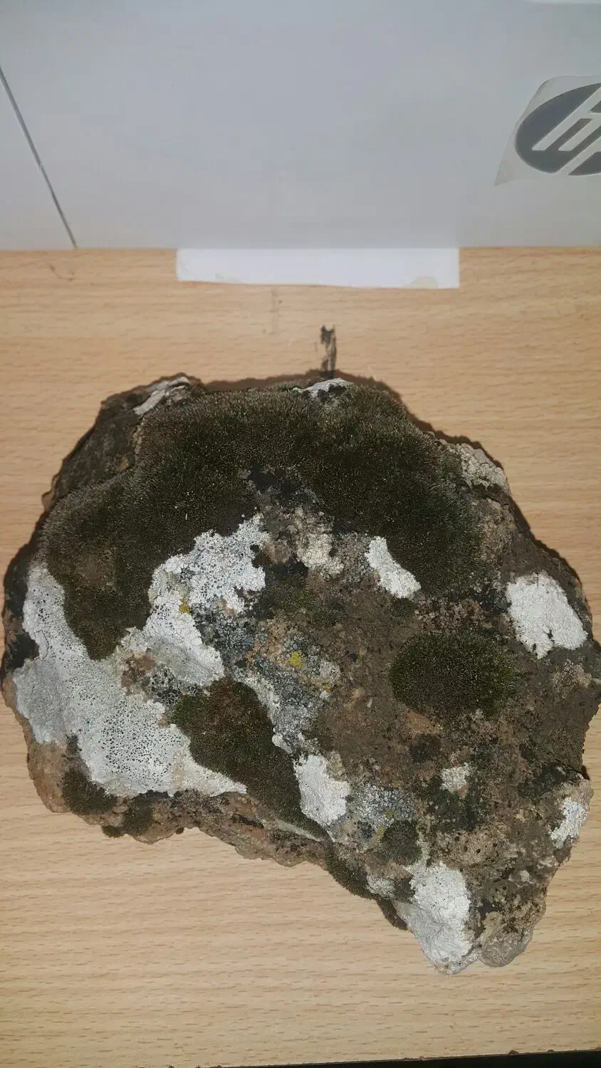 خاص  ترین سنگ|کلکسیون اشیاء عتیقه|ماکو, |دیوار