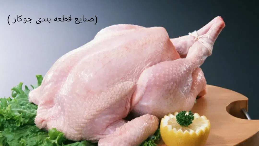 استخدام فیله زن و کارگر ساده|استخدام خدمات فروشگاه و رستوران|یزد, |دیوار