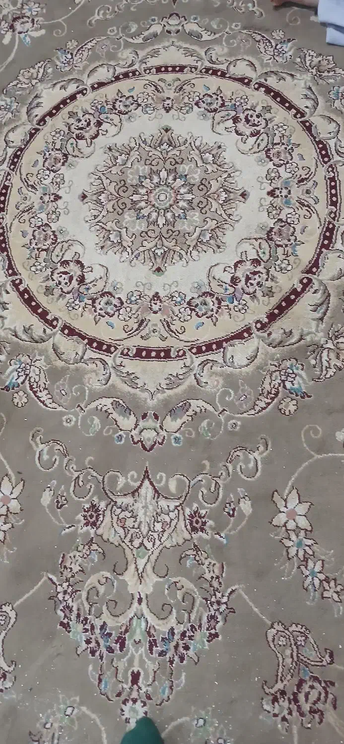 قالی|فرش|اراک, |دیوار