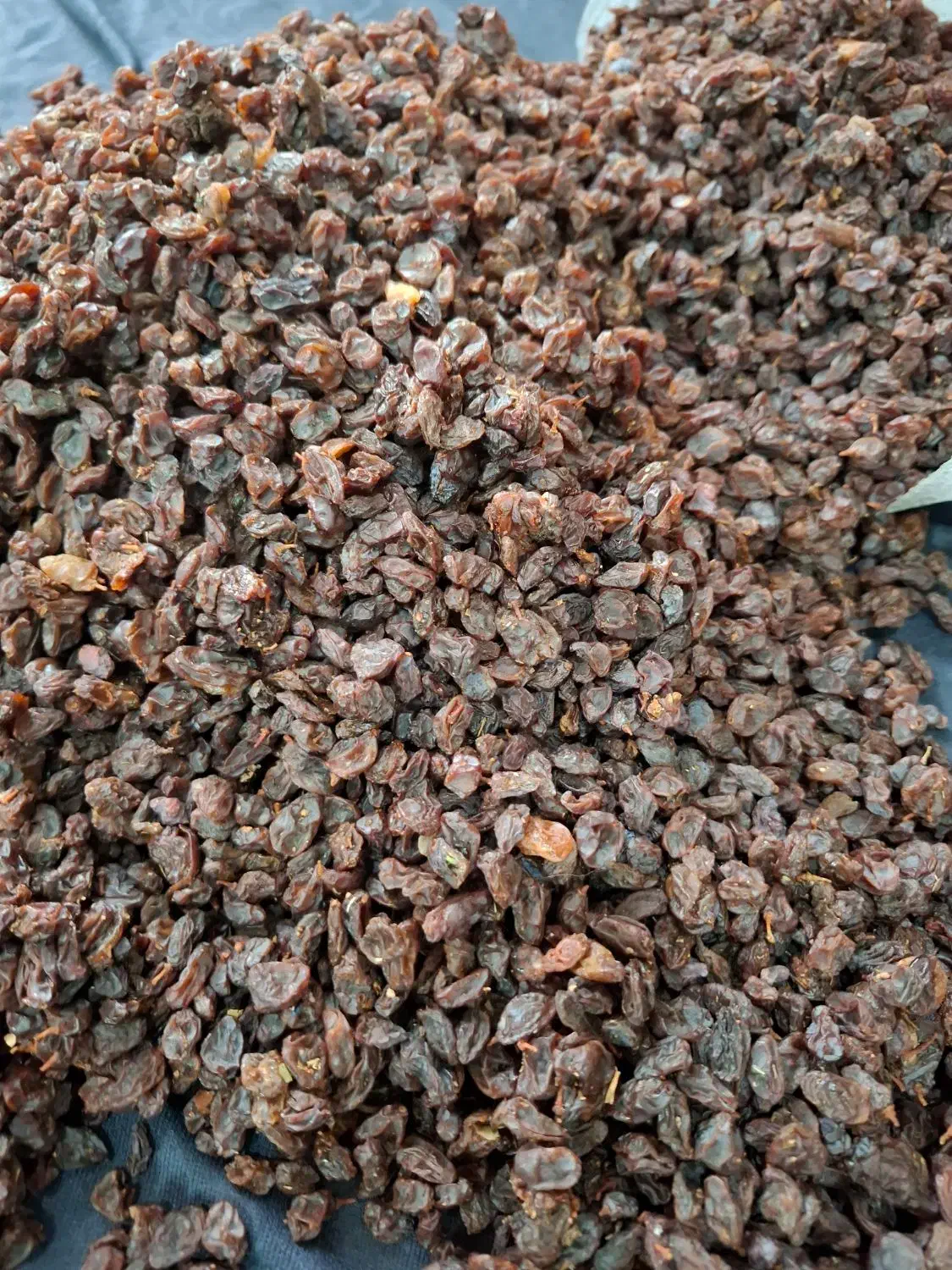 کشمش افتاب خشک ارگانیک|خوردنی و آشامیدنی|خمینیشهر, |دیوار