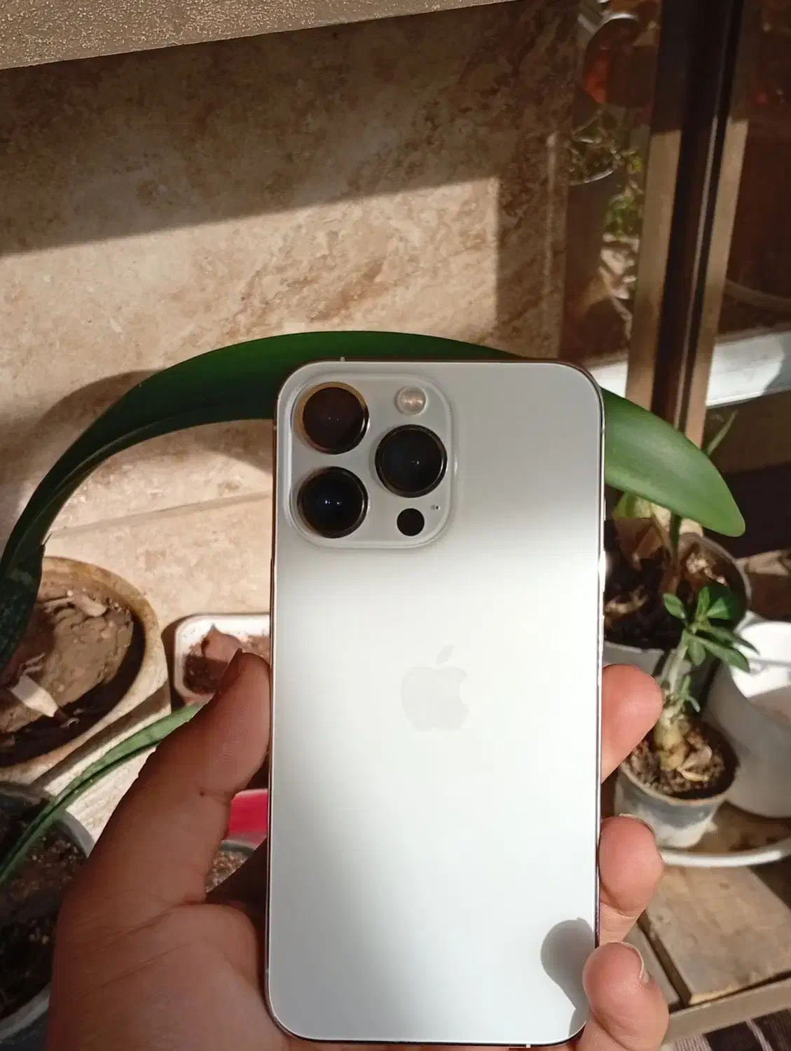 ایفون 13 پرو|موبایل|مراغه, |دیوار