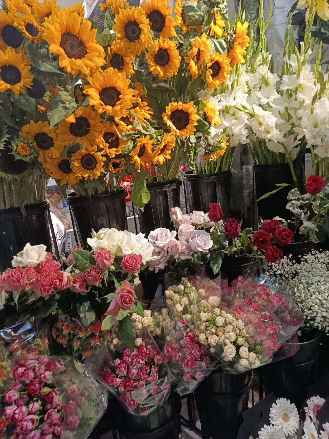 دستیار دیزاین|استخدام خدمات فروشگاه و رستوران|بندرعباس, |دیوار