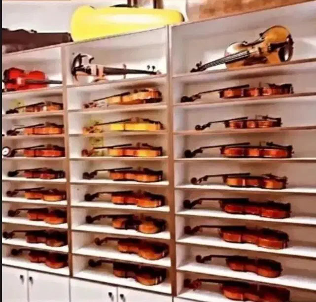 فروش  انواع ویولن|ویولن|اصفهان, آبشار|دیوار