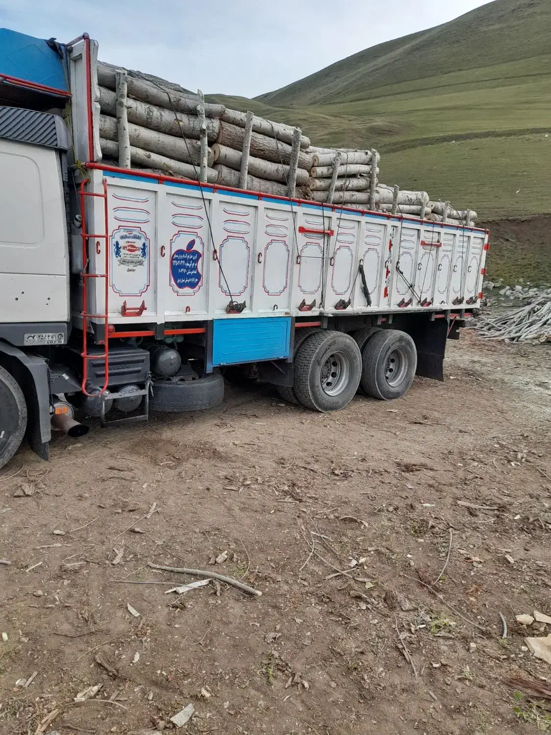 خریدار انواع چوب الات|خدمات باغبانی و درختکاری|گرمی, |دیوار