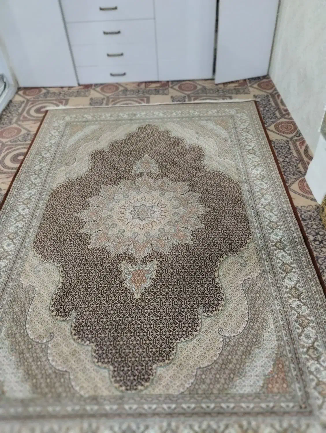 فرش ۶ متری ریزه ماهی|فرش|بهارستان, |دیوار