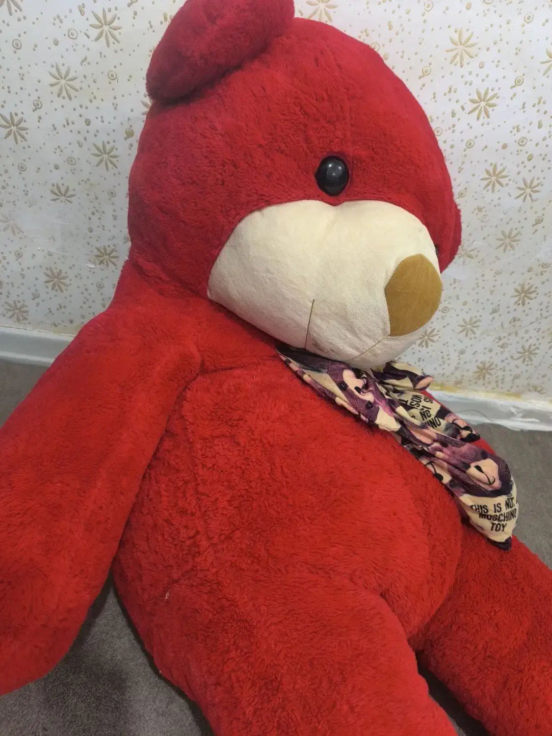 شاسخین|اسباب‌بازی بچه|دوگنبدان, |دیوار