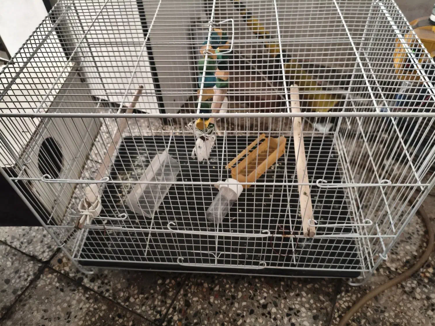 قفس|لوازم جانبی حیوانات|نیشابور, شهرک فرهنگیان|دیوار