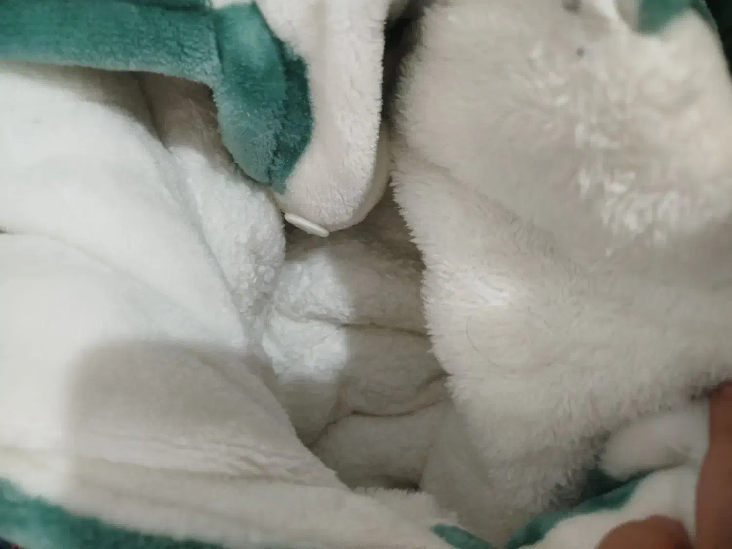 فروش لباس پشمی بچگانه|کفش و لباس بچه|ایلام, |دیوار