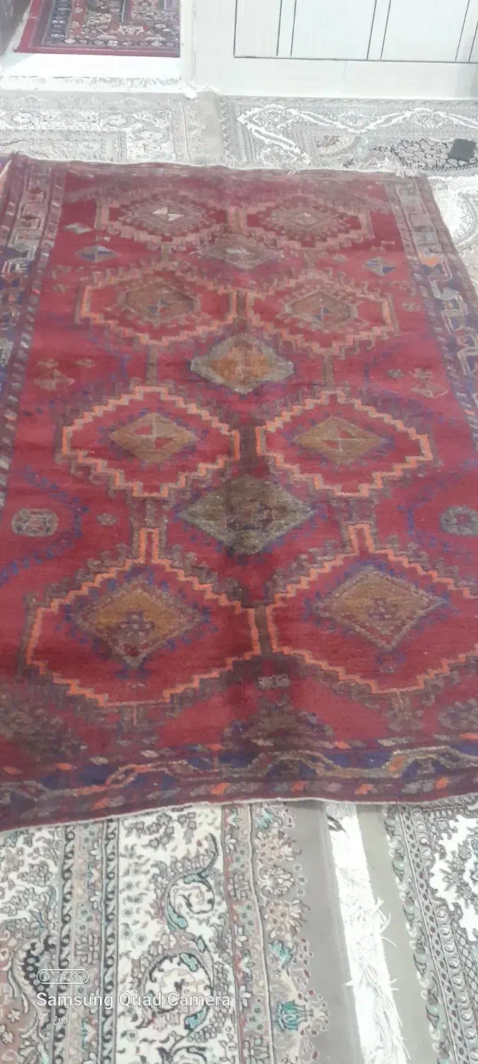 قالی محلی|فرش|پلدختر, |دیوار