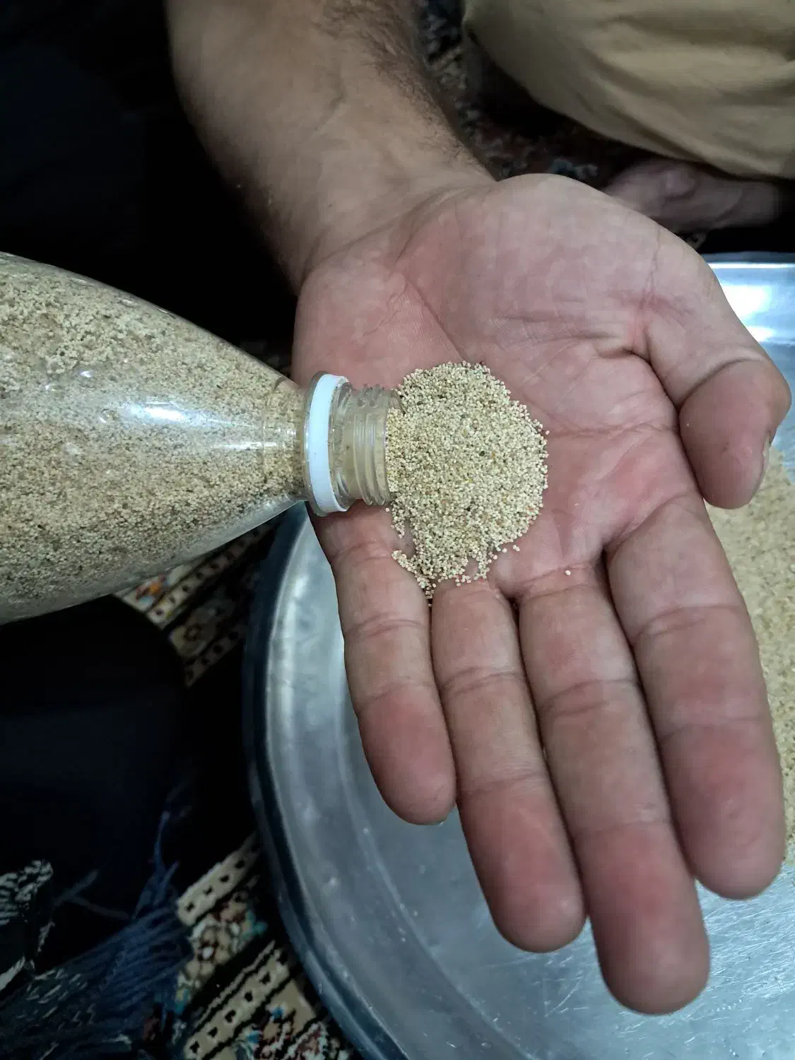 بذر|خدمات باغبانی و درختکاری|کوهدشت, |دیوار