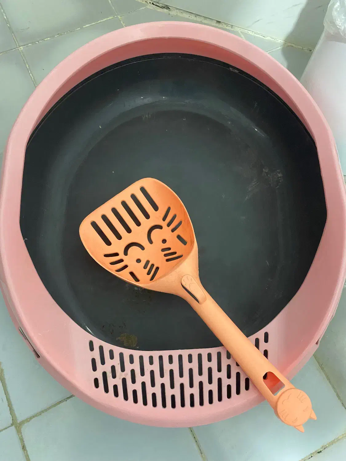 لوازم گربه|لوازم جانبی حیوانات|رودهن, |دیوار