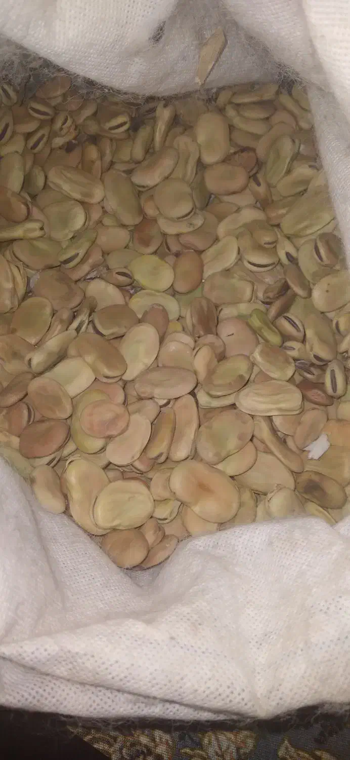 باقلا|خدمات باغبانی و درختکاری|دره شهر, |دیوار