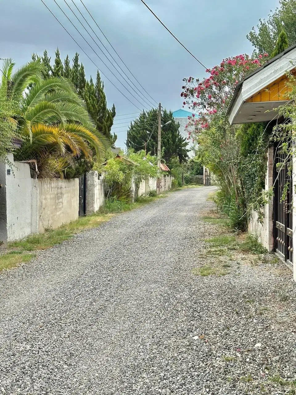 اکازیون ترین ویلاباغ//۶۰۰متری سندششدانگی|فروش خانه و ویلا|رویان, |دیوار