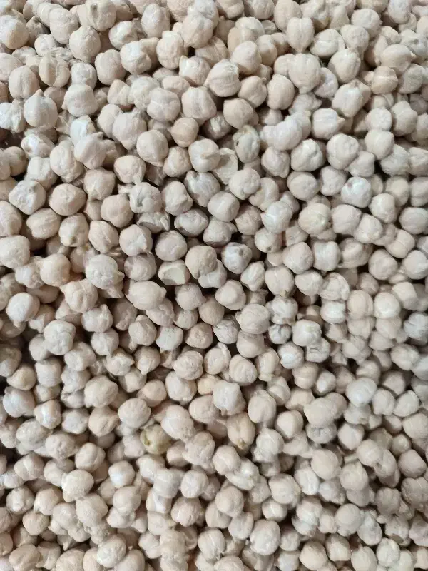 نخود|عمده‌فروشی|حمیل, |دیوار