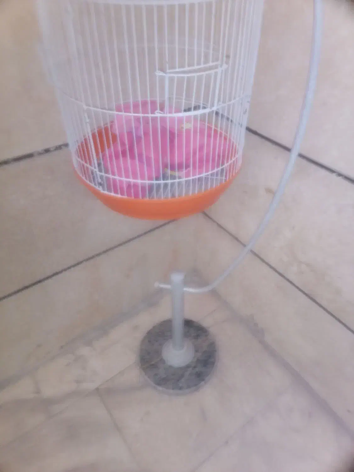 قفس پایه دار پرنده زینتی|لوازم جانبی حیوانات|فردیس, شهرک راه آهن|دیوار