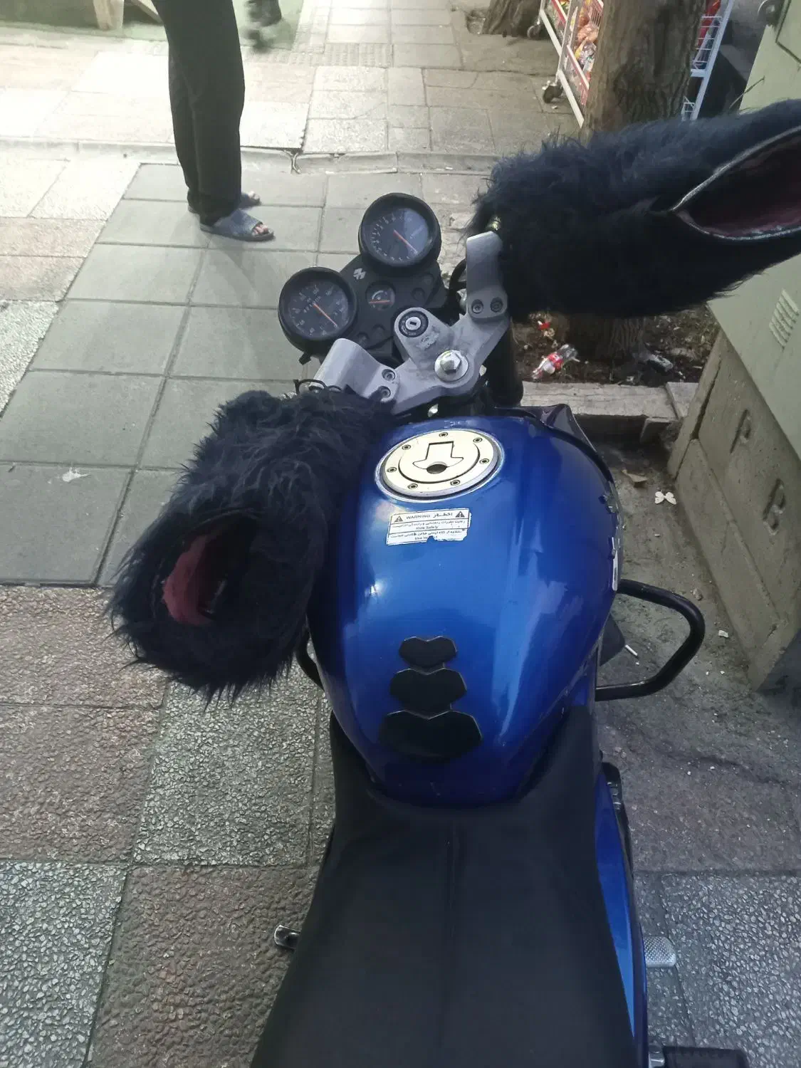 پالس ۱۸۰ یوجیفور ۹۲ سالم|موتورسیکلت|تهران, مقدم|دیوار