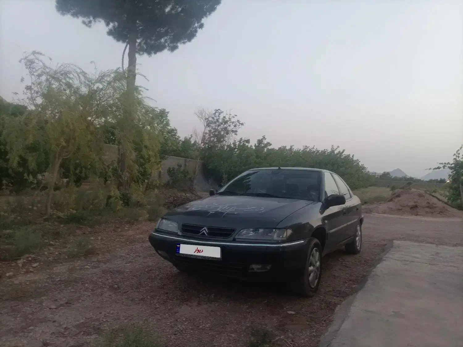 زانتیا مدل 82 فنی سالم|خودرو سواری و وانت|شاهرود, |دیوار