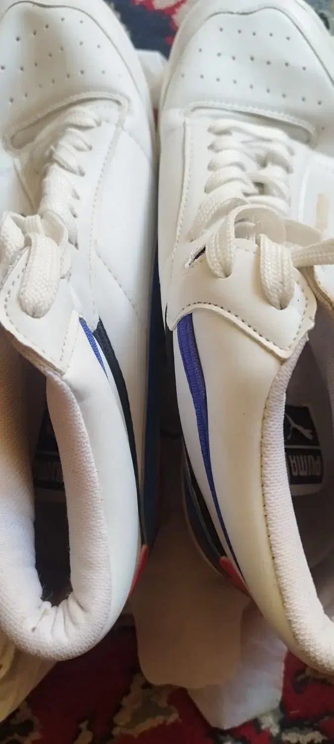 کفش مردانه|کیف، کفش، کمربند|خوسف, |دیوار