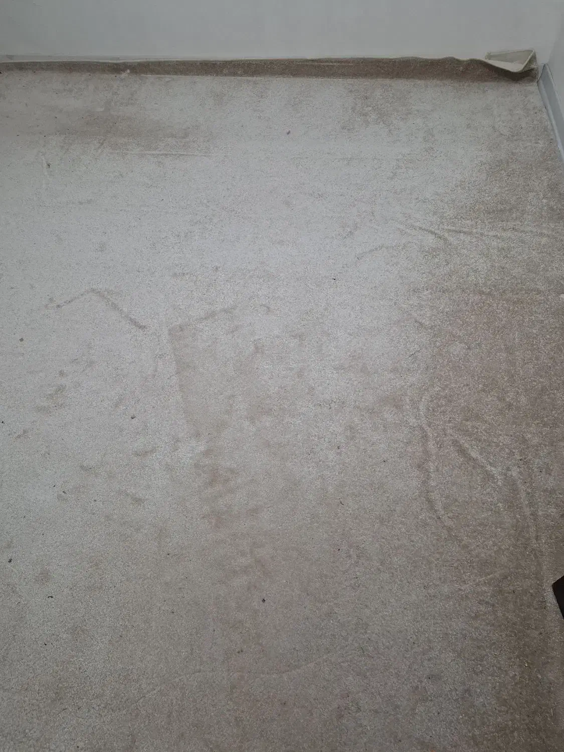 موکت|موکت|بندر امام خمینی, |دیوار