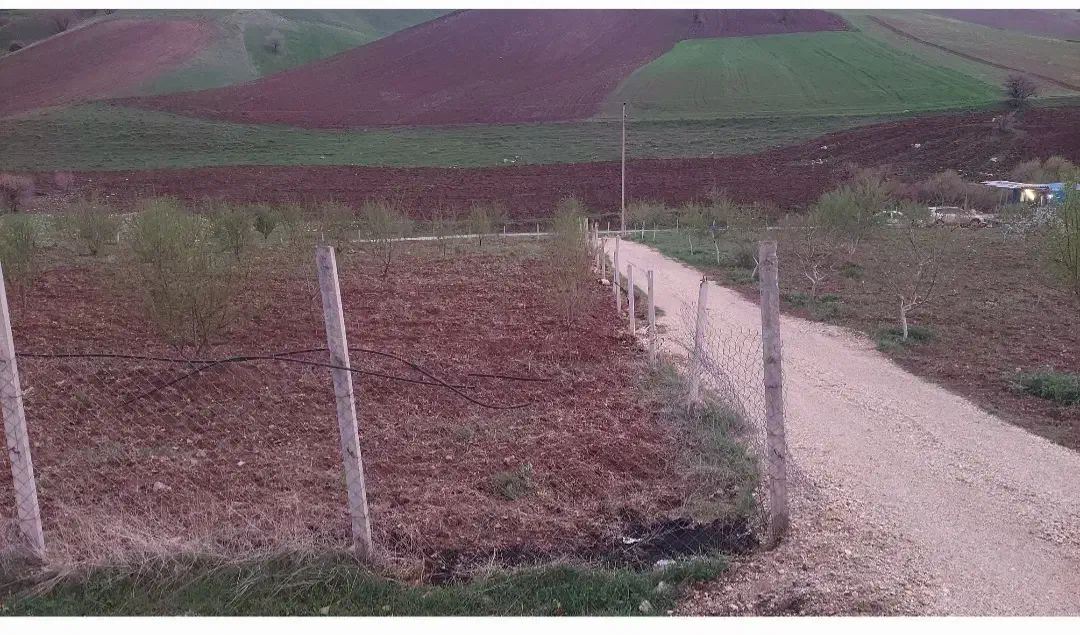 باغ بادام|فروش زمین و ملک کلنگی|جوانرود, |دیوار