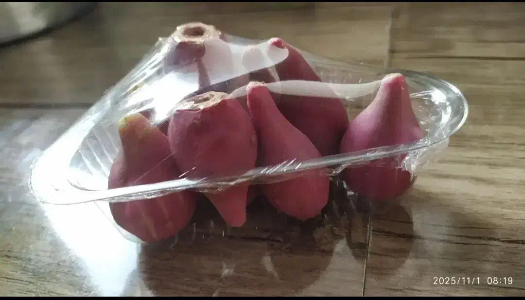 میوه کاکتوس/ ارسال رایگان|خوردنی و آشامیدنی|سبزوار, هویزه|دیوار