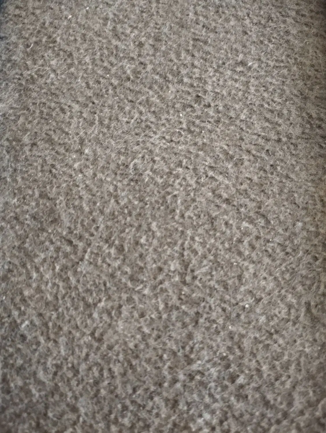 موکت قهوه ای|موکت|تربت‌حیدریه, داروپخش|دیوار