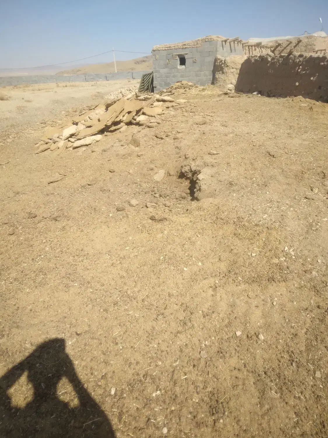 کوود حوانی درجه یک|خدمات باغبانی و درختکاری|ساوه, |دیوار