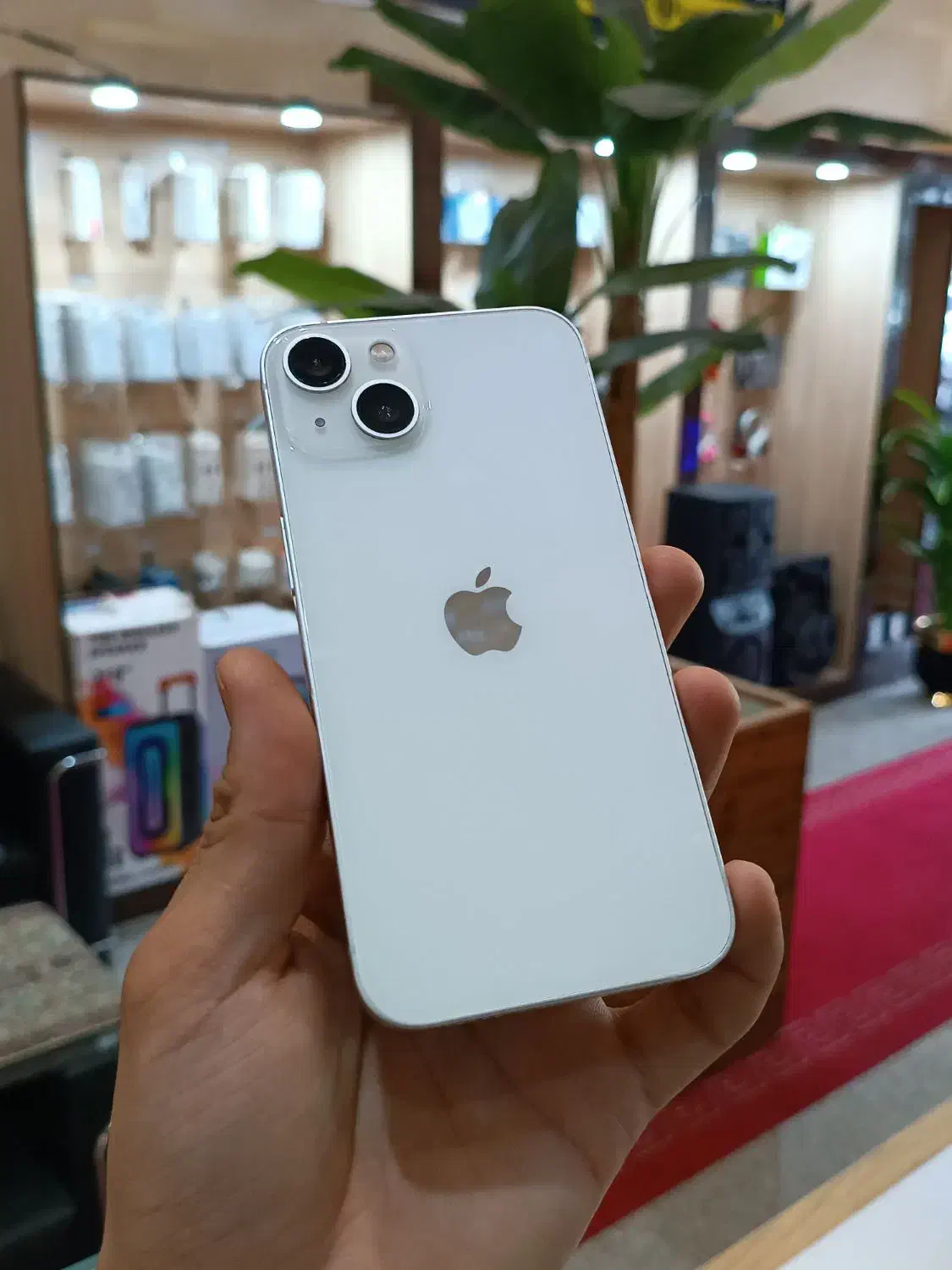 iphone 13  256 GB|موبایل|یزد, |دیوار