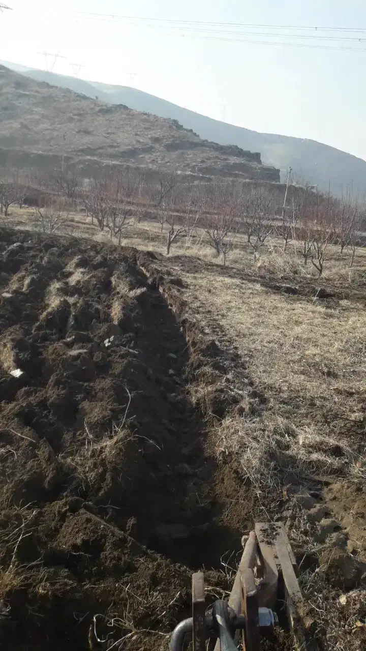 خدمات کشاورزی با تراکتور باغی|خدمات باغبانی و درختکاری|ارومیه, |دیوار