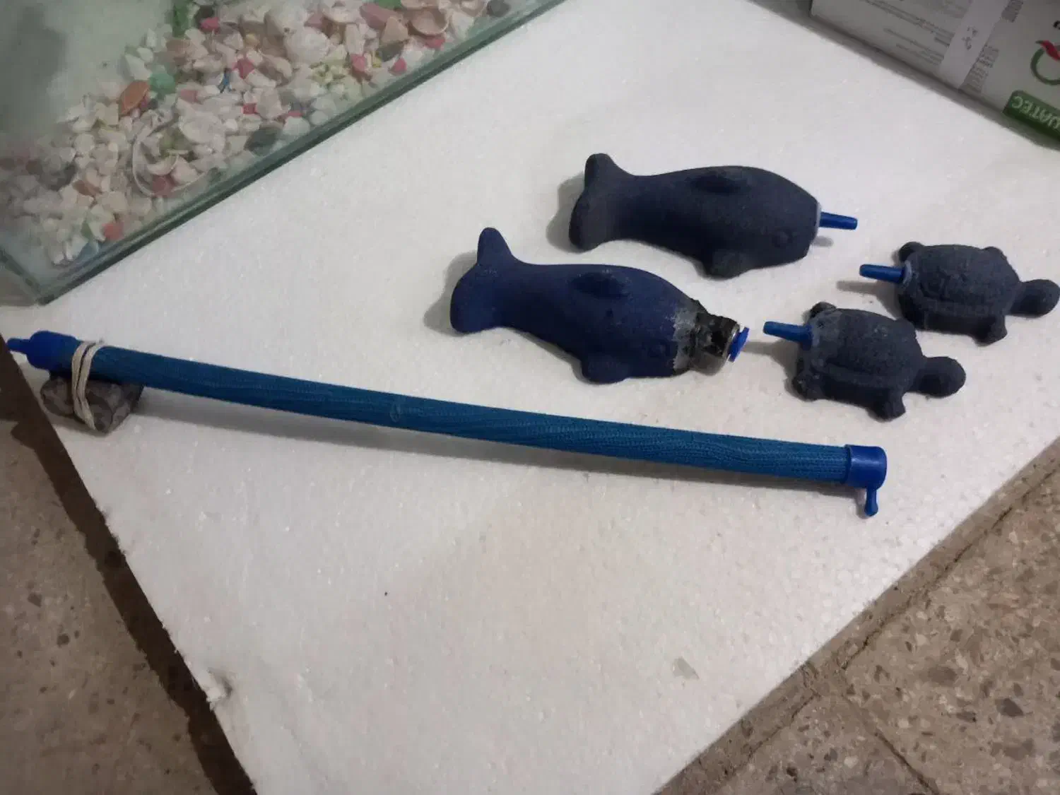 آکواریوم|ماهی|آران و بیدگل, |دیوار