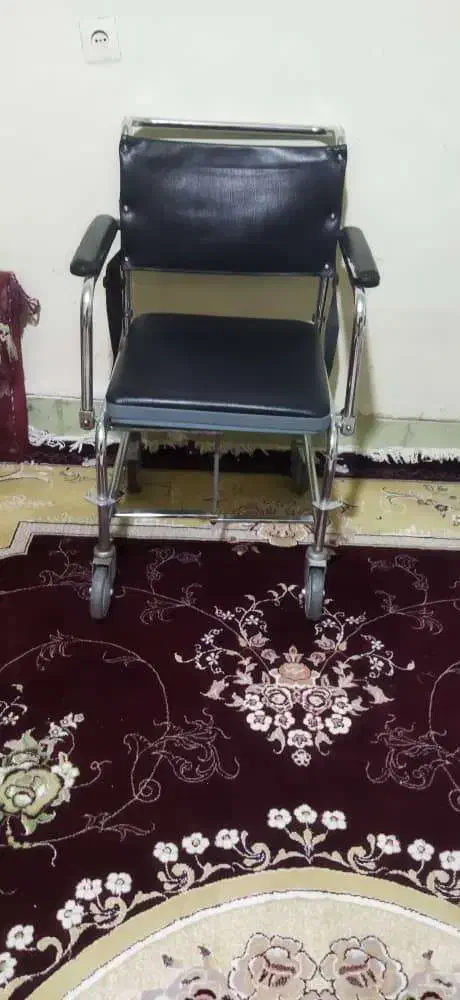 ویلچر حمام و دستشویی|آرایشی، بهداشتی، درمانی|مرودشت, ژیان|دیوار